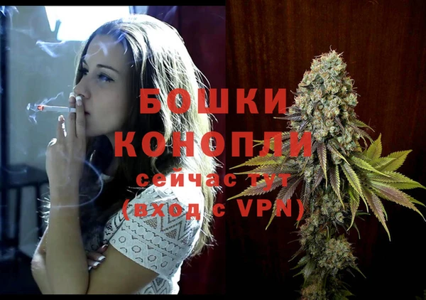 прущие грибы Новокубанск