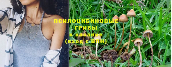 мяу мяу мука Нефтекумск