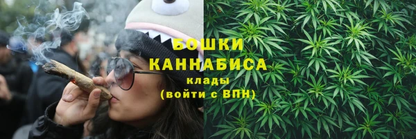 ECSTASY Вяземский