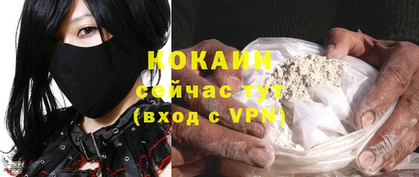 прущие грибы Новокубанск